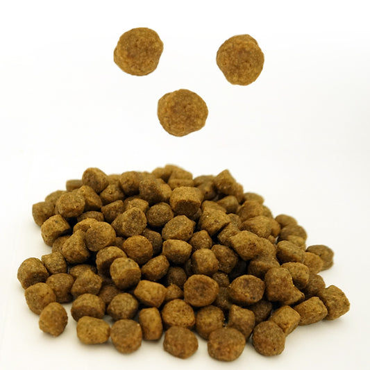 アボ・ダーム パピー