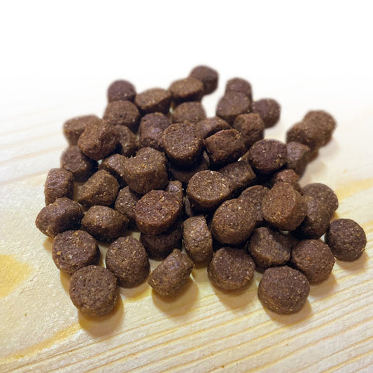 ピナクル サーモン&パンプキン with サーモンボーンブロス