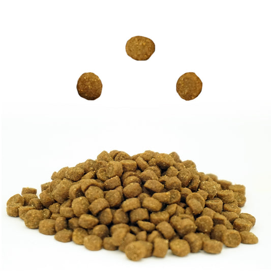 アボ・ダームキャット キトン