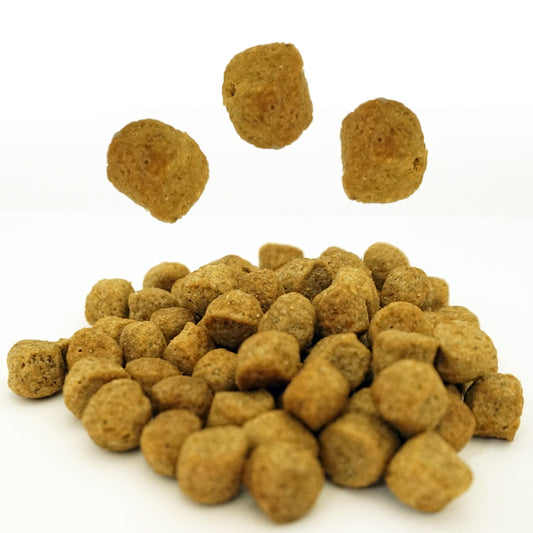 アボ・ダーム シニア