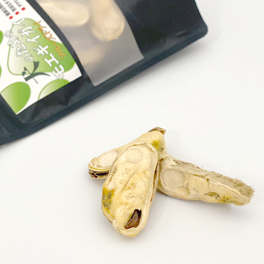 犬のためのモエギイガイ